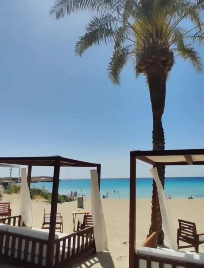 Nissi Golden Sands Sea View 2 Bedroom Apartment Aya Napa Dış mekan fotoğraf